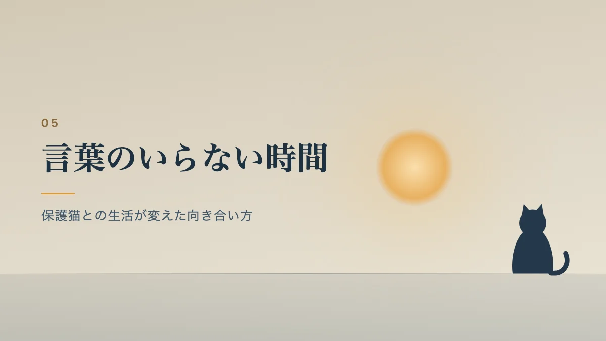 保護猫との生活が変えた向き合い方を表すバナー画像