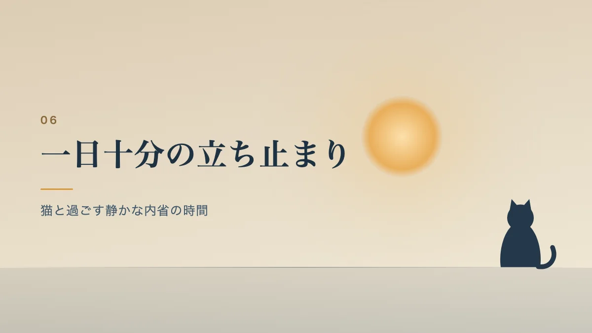 猫と過ごす静かな内省の時間を表すバナー画像